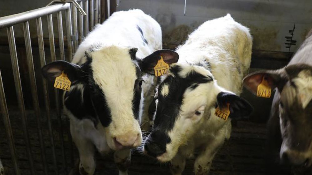 © H. Chaligne/GFA